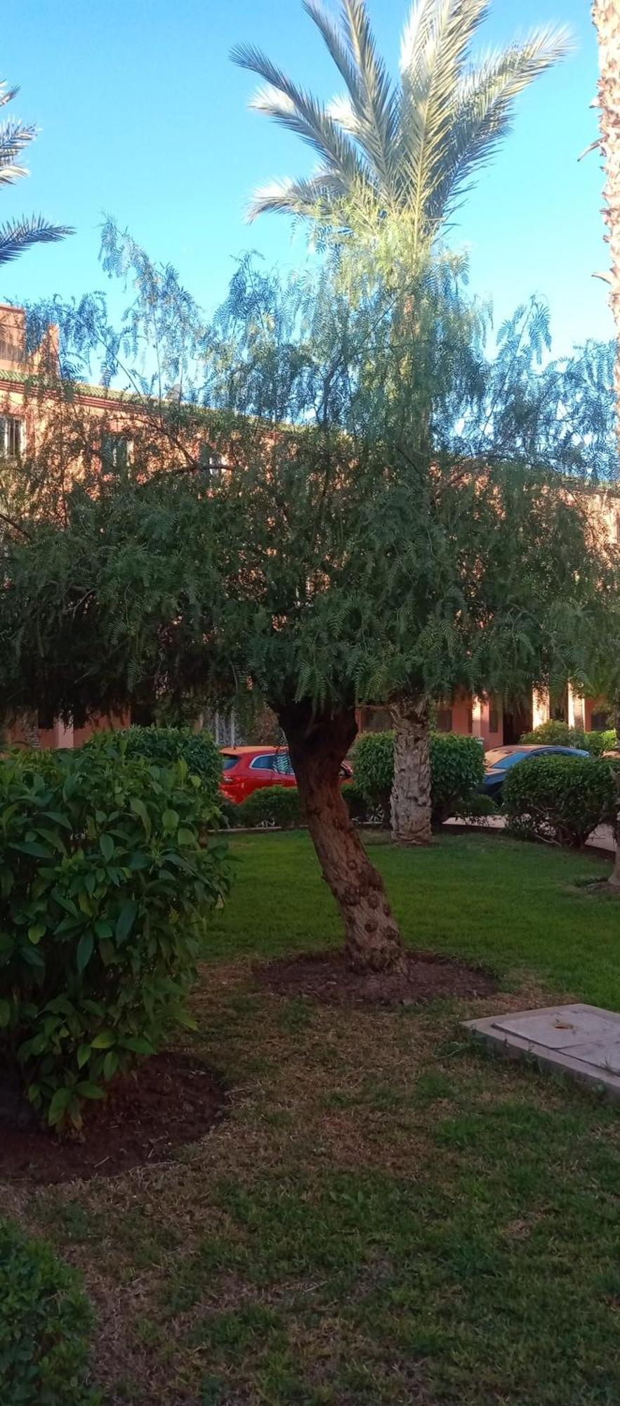 Riad Al-Bushra Marraquexe Exterior foto