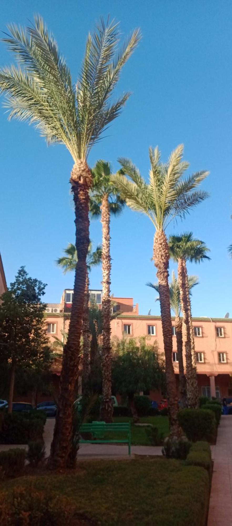 Riad Al-Bushra Marraquexe Exterior foto