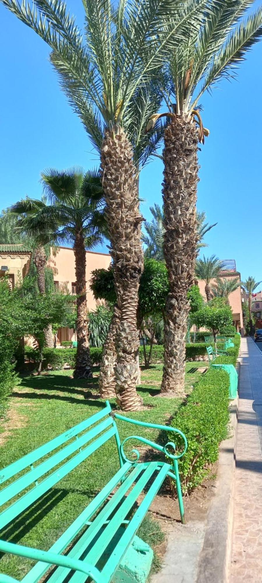 Riad Al-Bushra Marraquexe Exterior foto